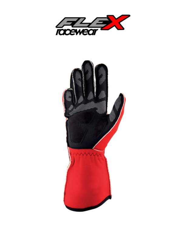 6 Racing Gloves